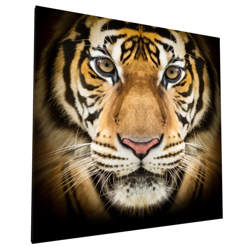 Tablou canvas: Portret de Tigru în Detalii Realiste - Image 1