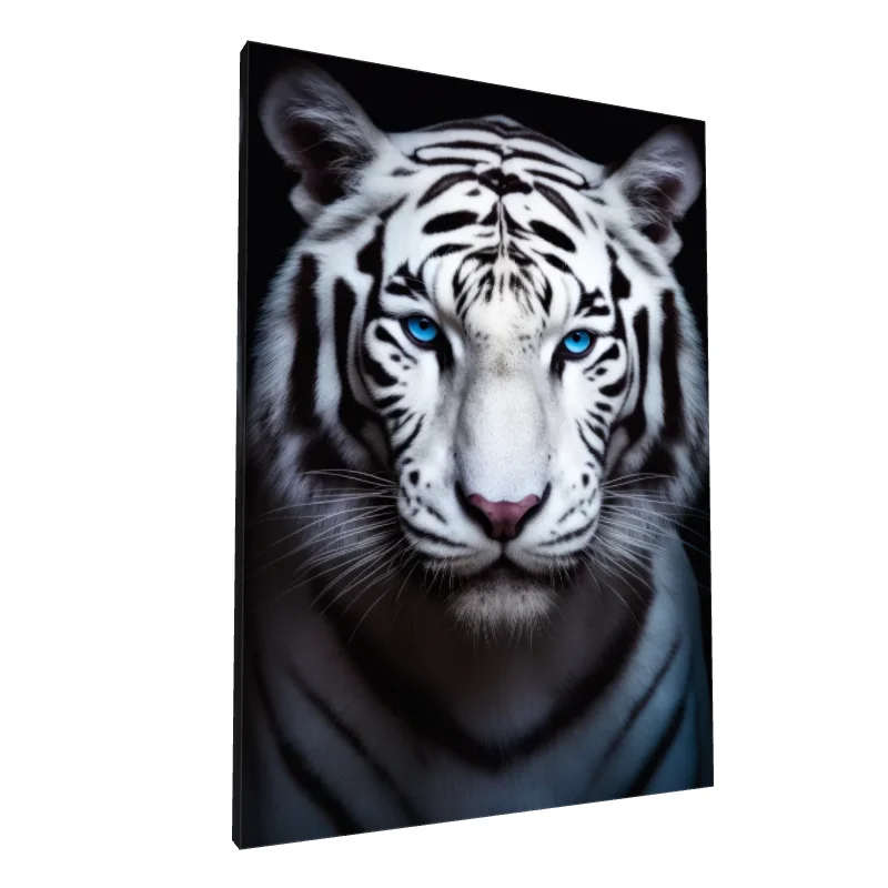 Tablou canvas: Portret Tigru Alb cu Ochi Albaștri