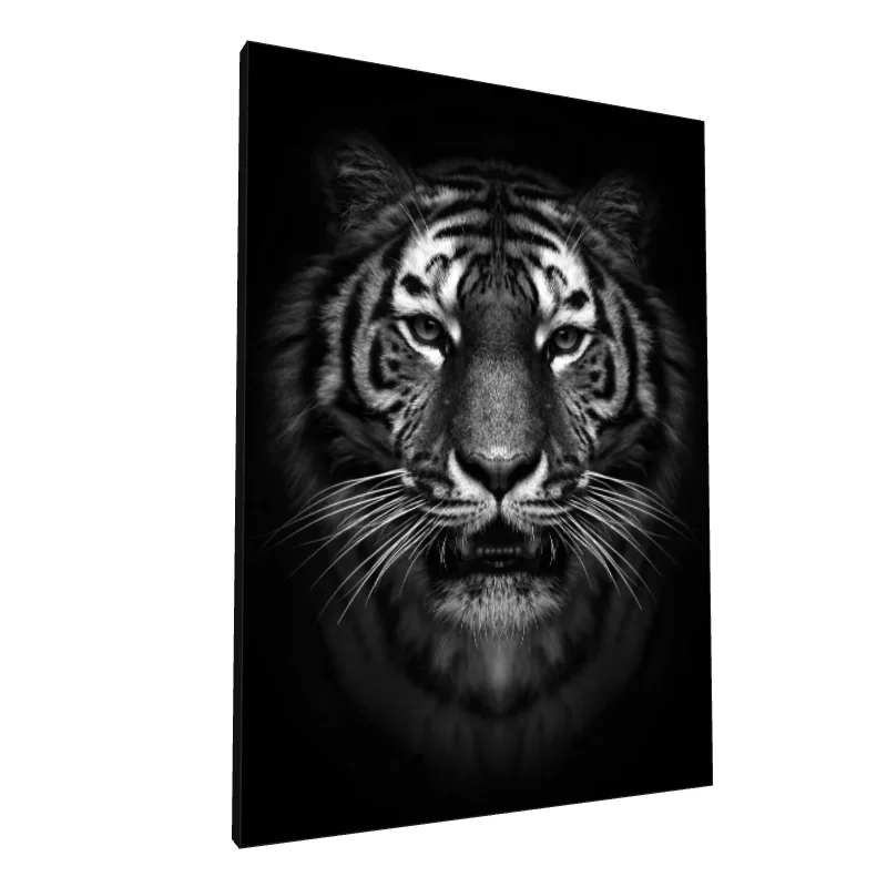 Tablou canvas: Portret Monocrom de Tigru în Prim-plan - Image 1