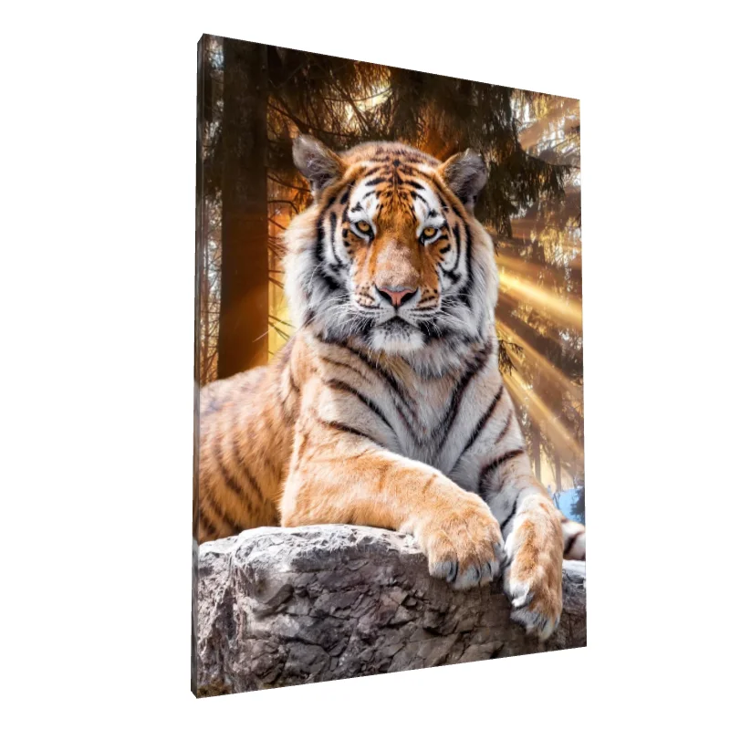 Tablou canvas: Tigru Impunător în Lumina Pădurii