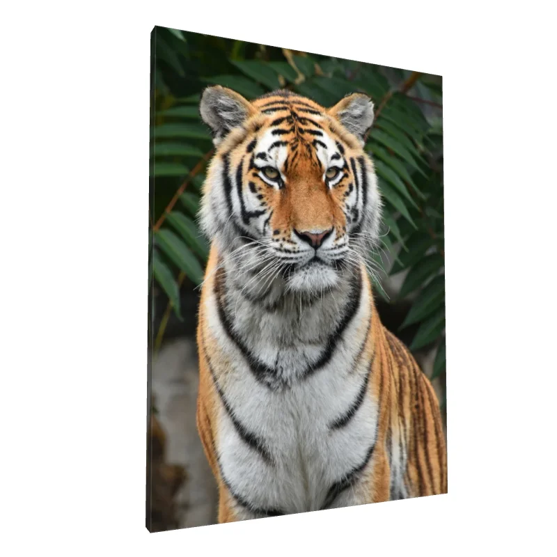 Tablou canvas: Portret Realist de Tigru în Natură 2 - Image 1