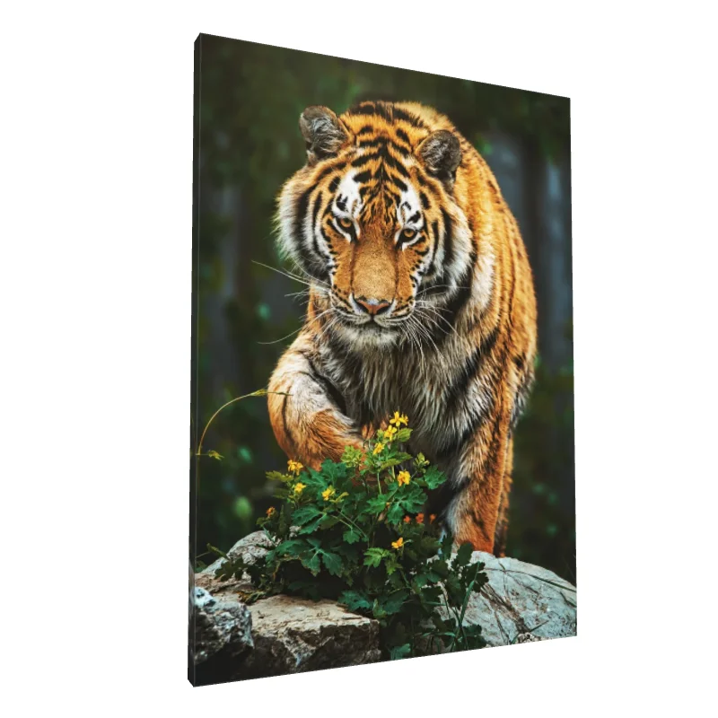 Tablou canvas: Tigru în Mișcare Printre Flori Galbene