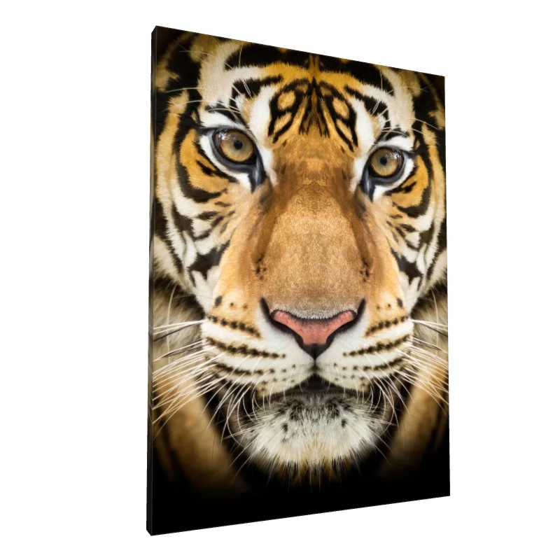 Tablou canvas: Portret Realist de Tigru în Prim-Plan - Image 1