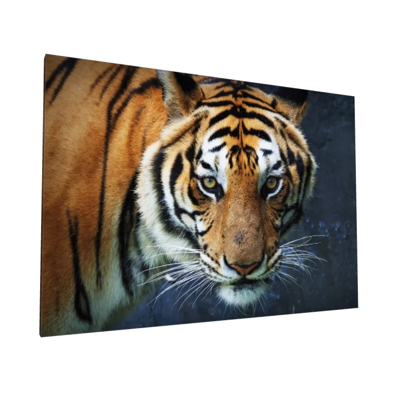 Tablou canvas: Privire de Tigru în Detaliu - Image 1