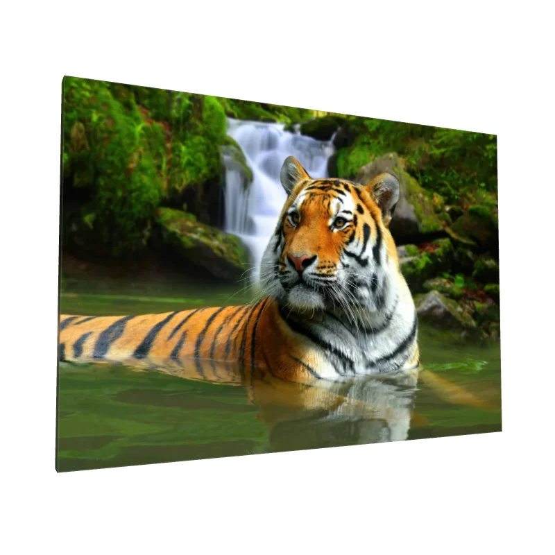 Tablou canvas: Tigru în Apă Lângă Cascadă (2)