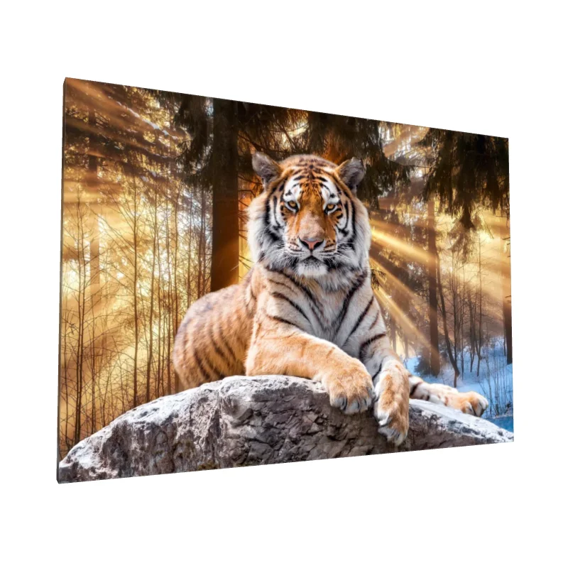 Tablou canvas: Tigru în Lumina Răsăritului Pădurii