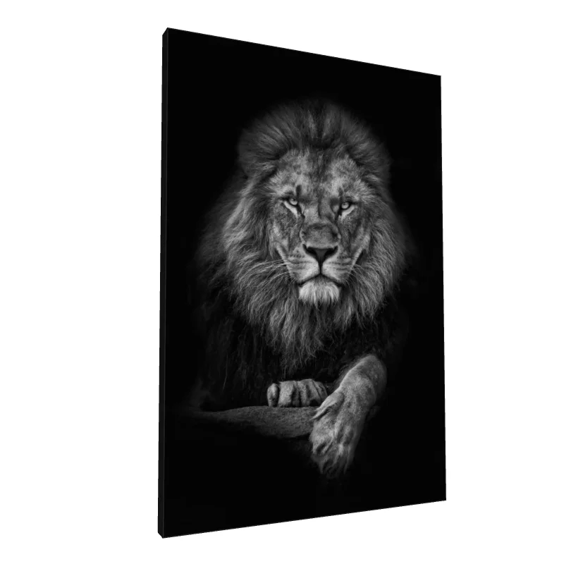 Tablou canvas: Portret de Leu Regal în Alb-Negru - Image 1