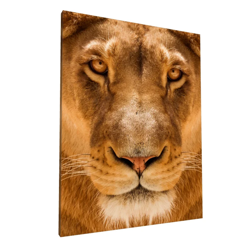 Tablou canvas: Portret Leoaică în Prim-Plan - Image 1