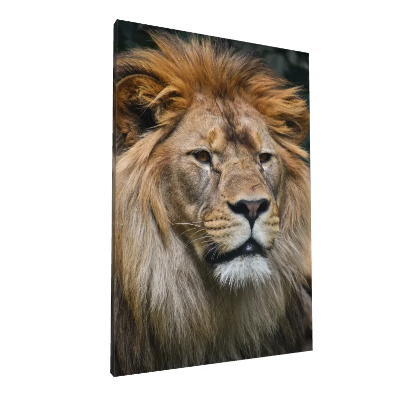 Tablou canvas: Portret Impunător de Leu în Detaliu - Image 1