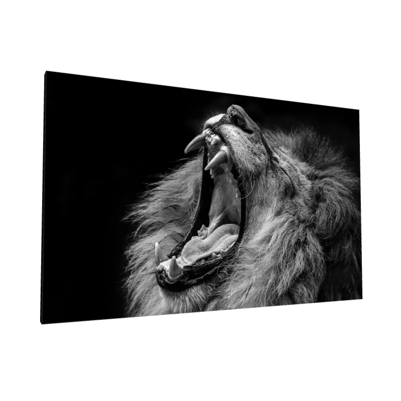 Tablou canvas: Leu Răget Impresionant în Alb-Negru - Image 1