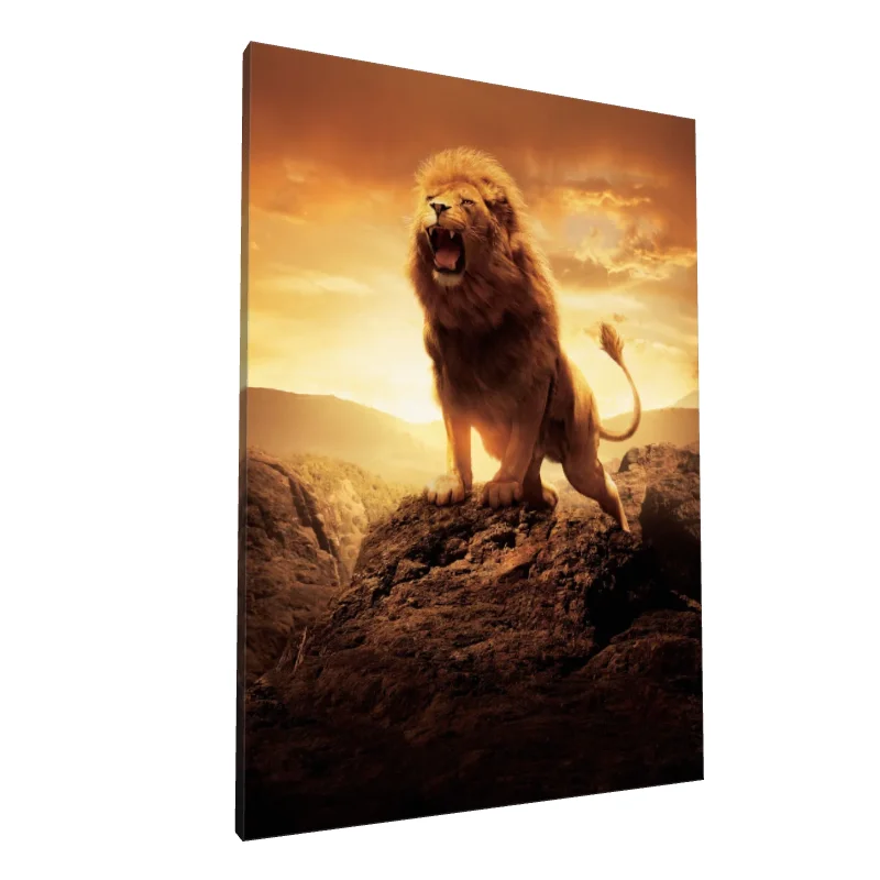 Tablou canvas: Leu Majestic la Apus - Image 1