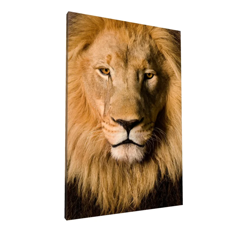 Tablou canvas: Portret de Leu Regal în Detaliu