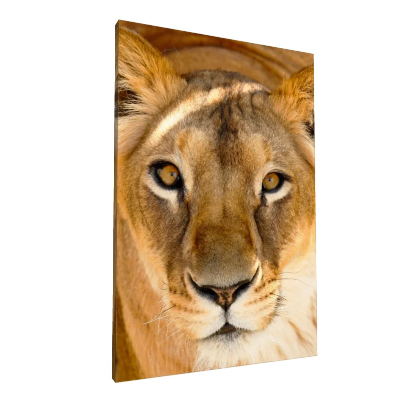 Tablou canvas: Portret de Leoaică în Detalii Fine - Image 1