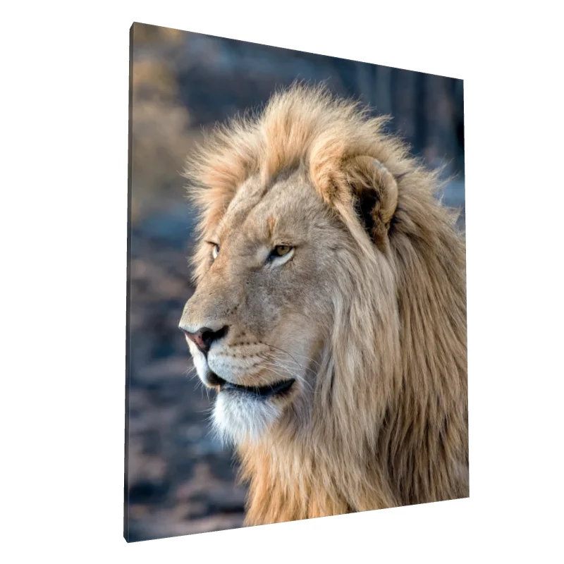 Tablou canvas: Portret de Leu în Lumină Naturală - Image 1