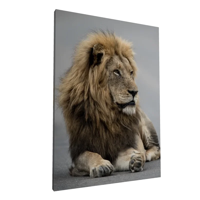 Tablou canvas: Portret de Leu în Detalii Realiste - Image 1