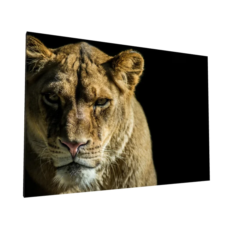 Tablou canvas: Portret de Leoaică în Lumină și Umbre