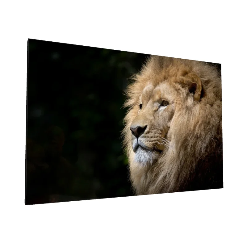 Tablou canvas: Portret de Leu în Profil, Culori Naturale - Image 1