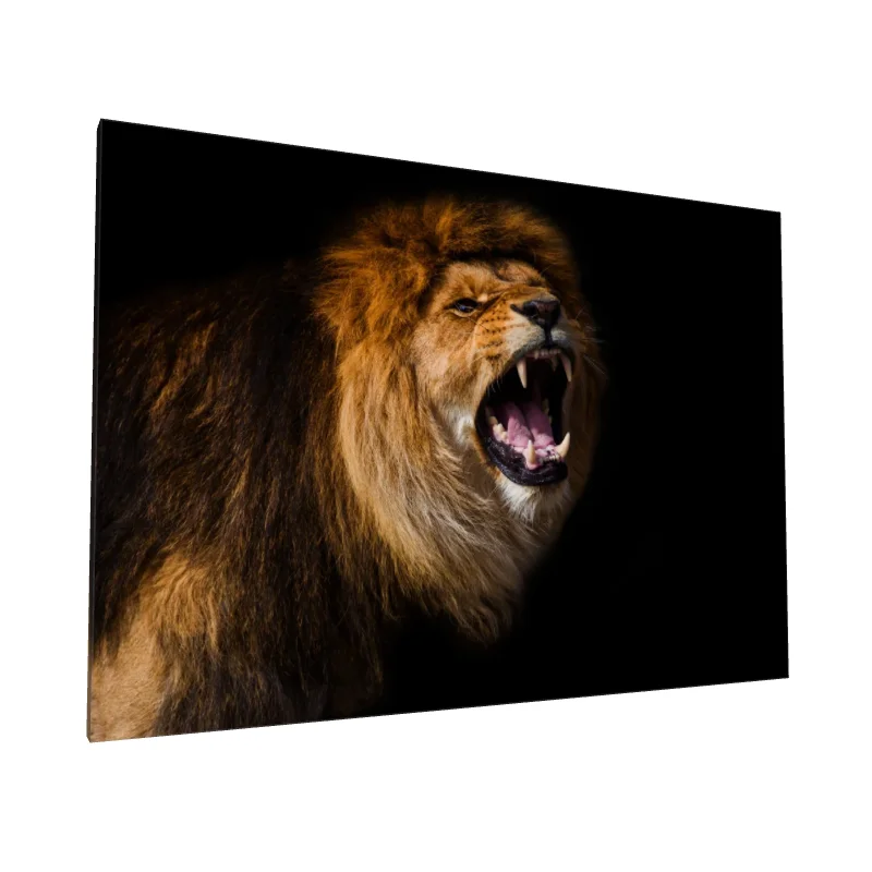 Tablou canvas: Leu Feroce pe Fundal Negru - Image 1