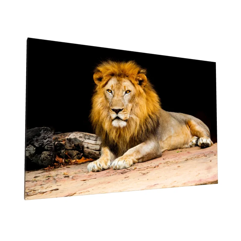 Tablou canvas: Leu Regal în Peisaj Natural