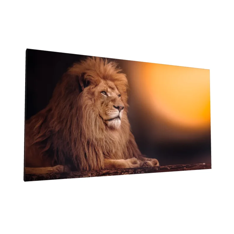 Tablou canvas: Leu Regal la Apus - Image 1