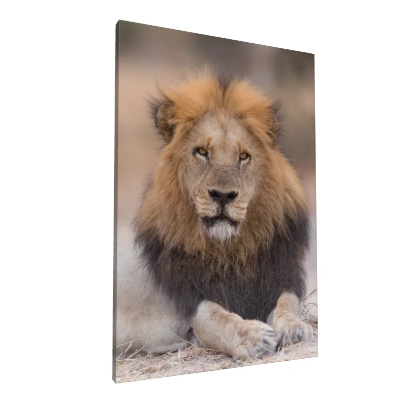 Tablou canvas: Portret de Leu în Detalii Realiste (2) - Image 1