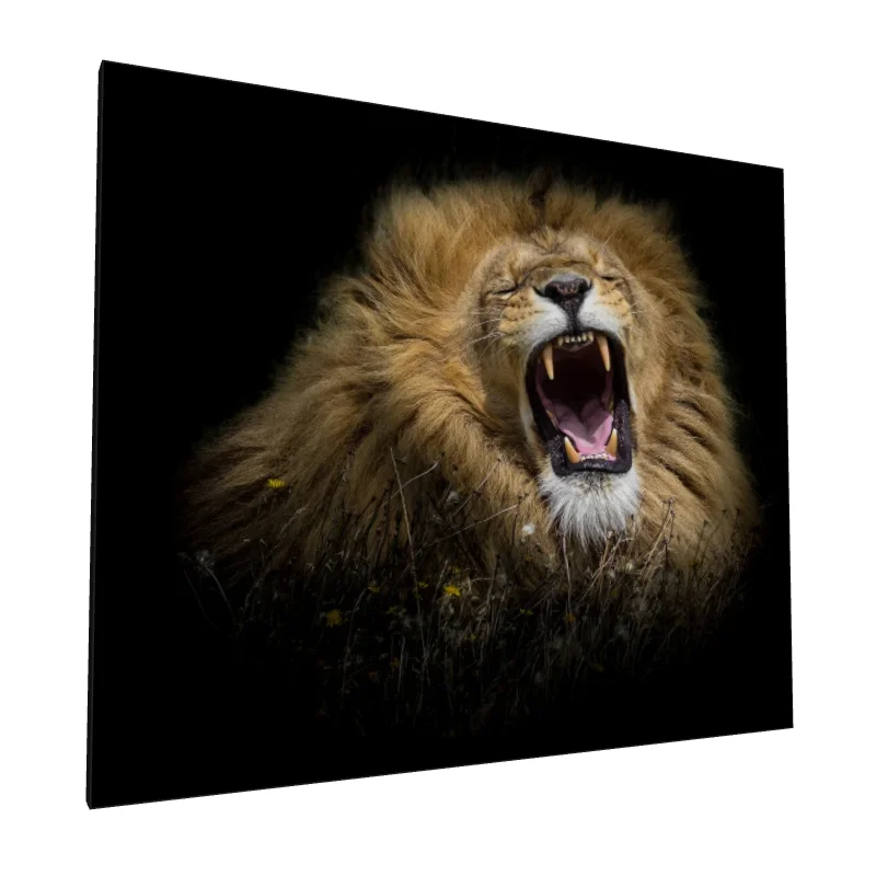 Tablou canvas: Leu în Prim-Plan cu Mâna Impunătoare