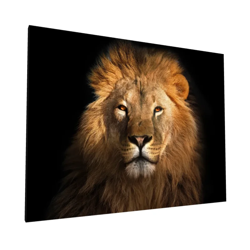 Tablou canvas: Portret de Leu cu Privire Regală - Image 1