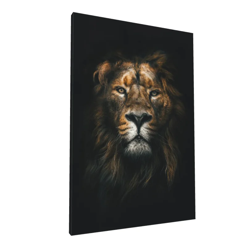 Tablou canvas: Portret Leu pe Fundal Întunecat