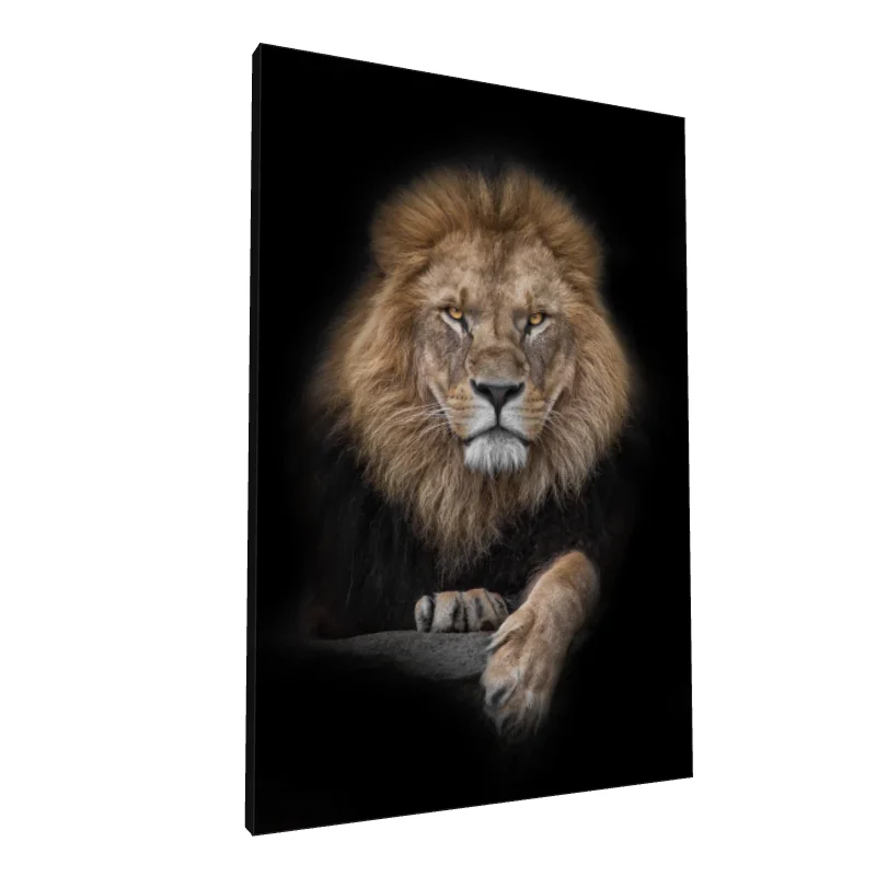 Tablou canvas: Portret de Leu pe Fundal Negru - Image 1