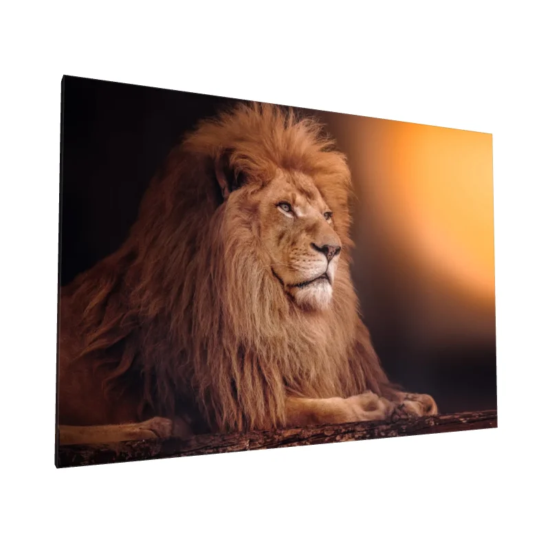 Tablou canvas: Portret de Leu în Lumină Caldă (2) - Image 1