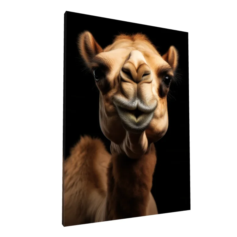 Tablou canvas: Portret Detaliat de Cămilă pe Fundal Negru