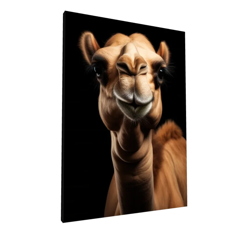 Tablou canvas: Portret Cămilă Pe Fundal Negru