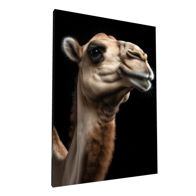 Tablou canvas: Portret de Cămilă pe Fundal Negru - Image 1