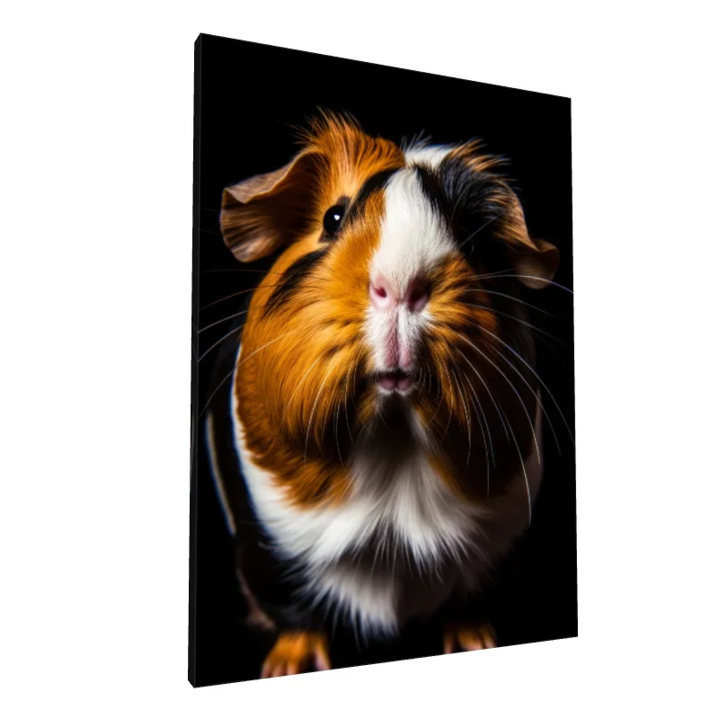 Tablou canvas: Portret De Porcușor de Guineea