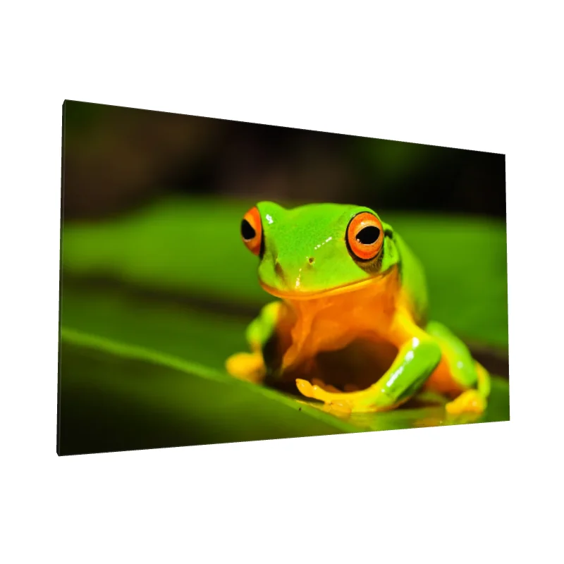 Tablou canvas: Brotac Verde cu Ochi Portocalii - Image 1