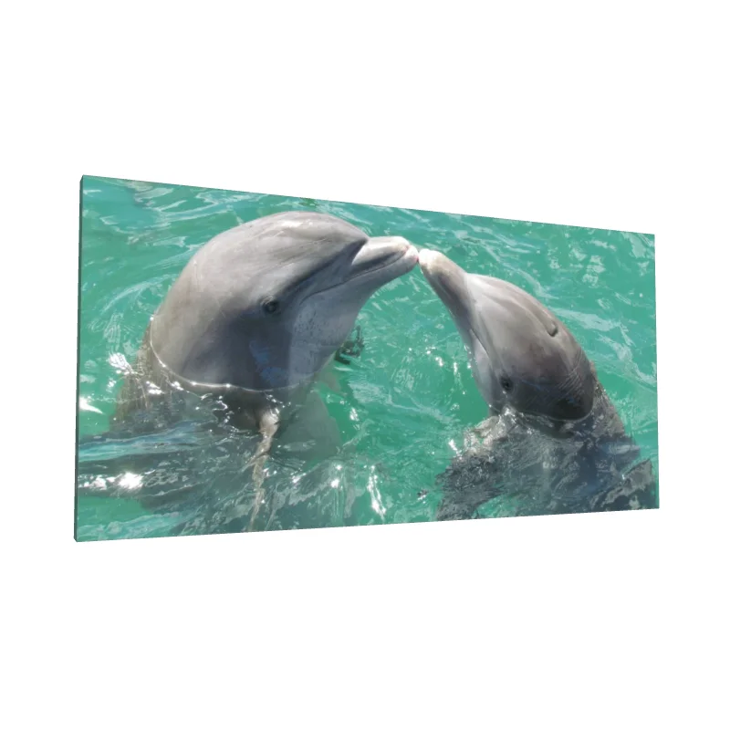 Tablou canvas: Delfini Jucăuși în Apă Cristalină - Image 1