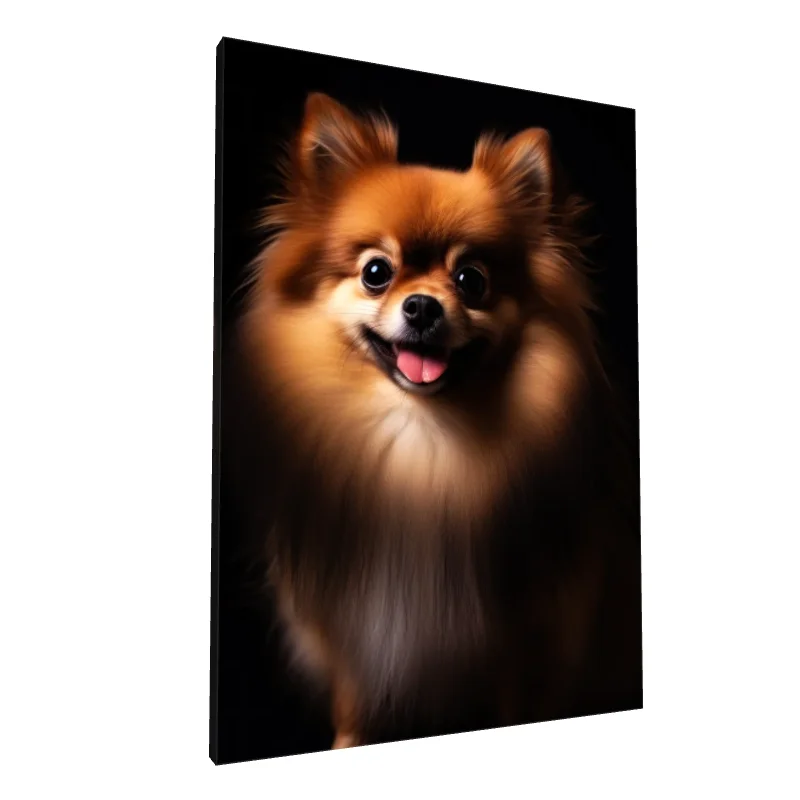 Tablou canvas: Portret Pomeranian pe Fundal Negru - Image 1