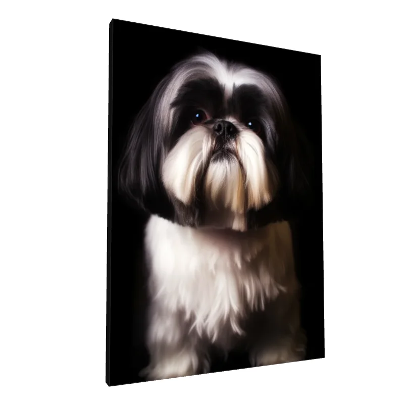 Tablou canvas: Portret de Câine Shih Tzu pe Fundal Negru