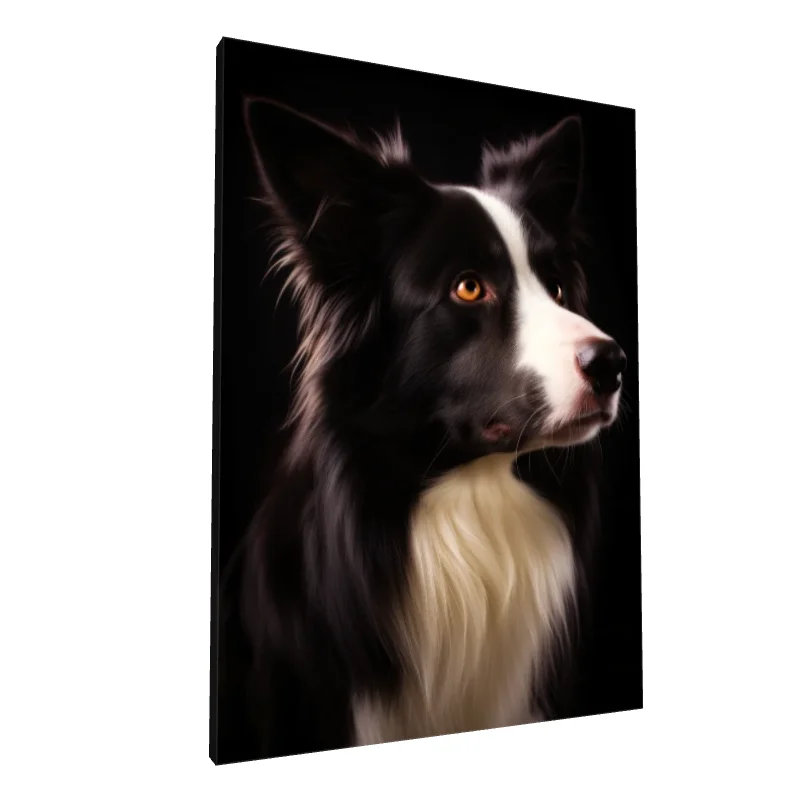 Tablou canvas: Portret de Câine Border Collie - Image 1