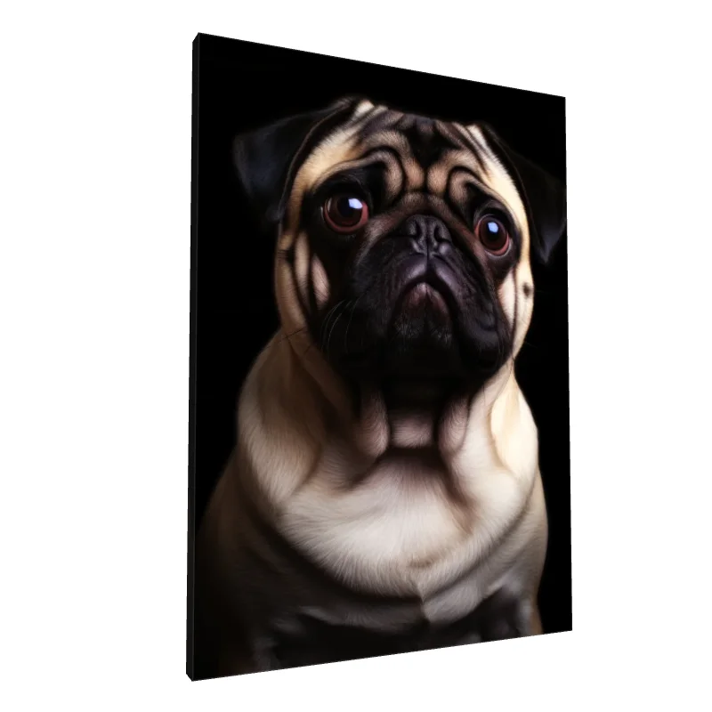 Tablou canvas: Portret Realist de Mops pe Fundal Negru