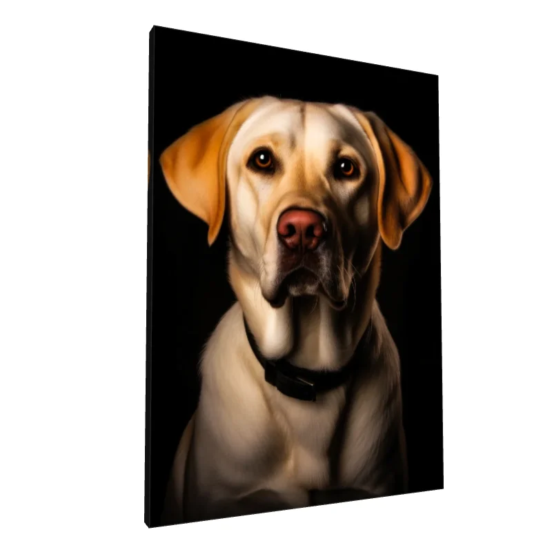 Tablou canvas: Portret Realist Labrador pe Fundal Negru