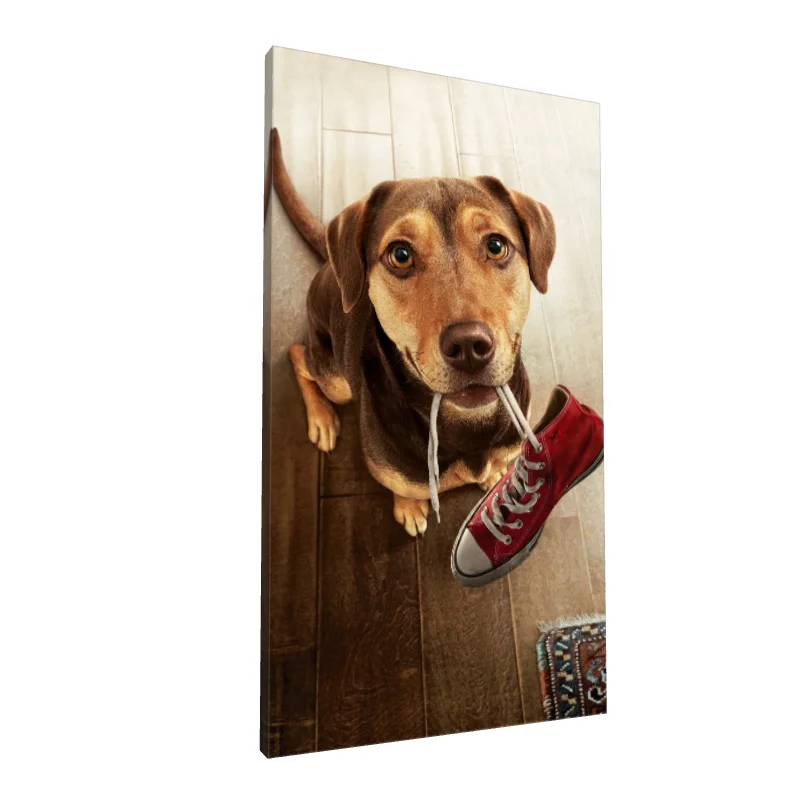 Tablou canvas: Cățeluș cu Adidaș Roșu - Image 1