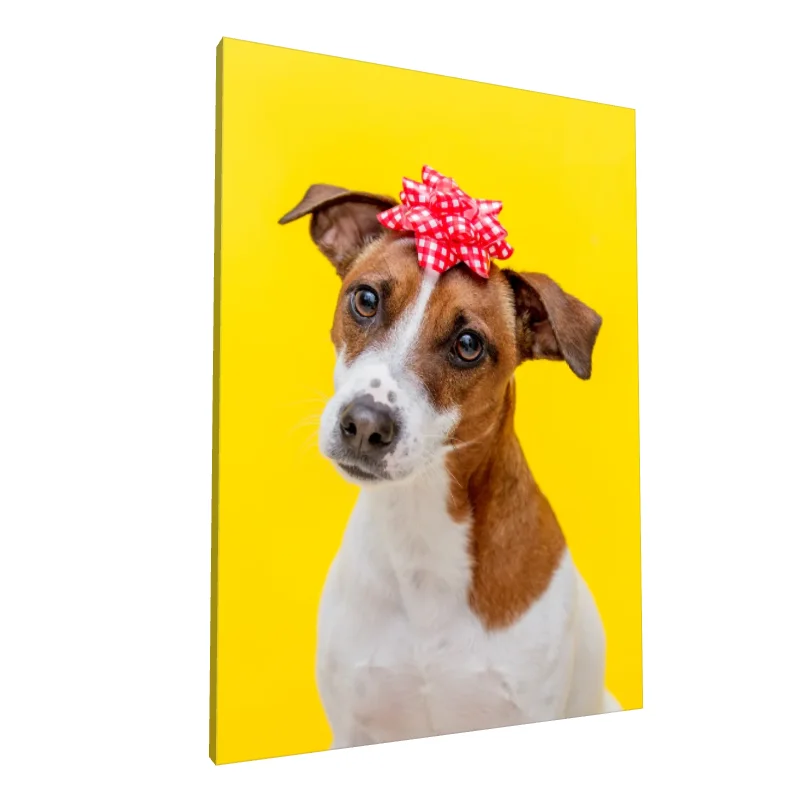 Tablou canvas: Cățel cu Fundiță pe Fundal Galben - Image 1