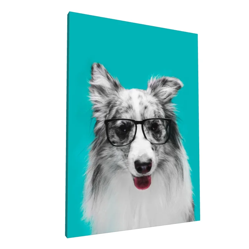 Tablou canvas: Câine Amuzant cu Ochelari pe Fundal Turcoaz