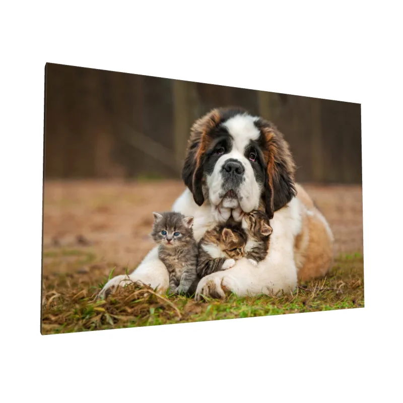 Tablou canvas: Câine Saint Bernard cu Pisicuțe