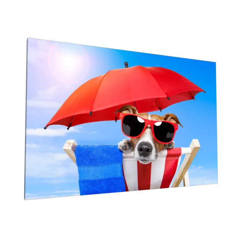 Tablou canvas: Câine Relaxat sub Umbrelă Roșie - Image 1