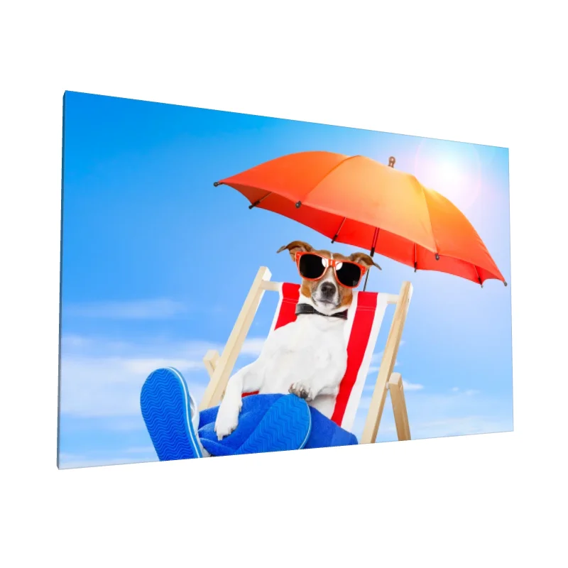 Tablou canvas: Câine Relaxat la Plajă sub Umbrelă Roșie - Image 1