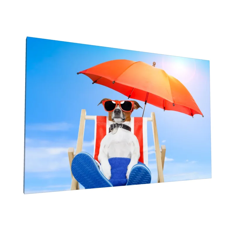 Tablou canvas: Câine Relaxându-se la Plajă - Image 1