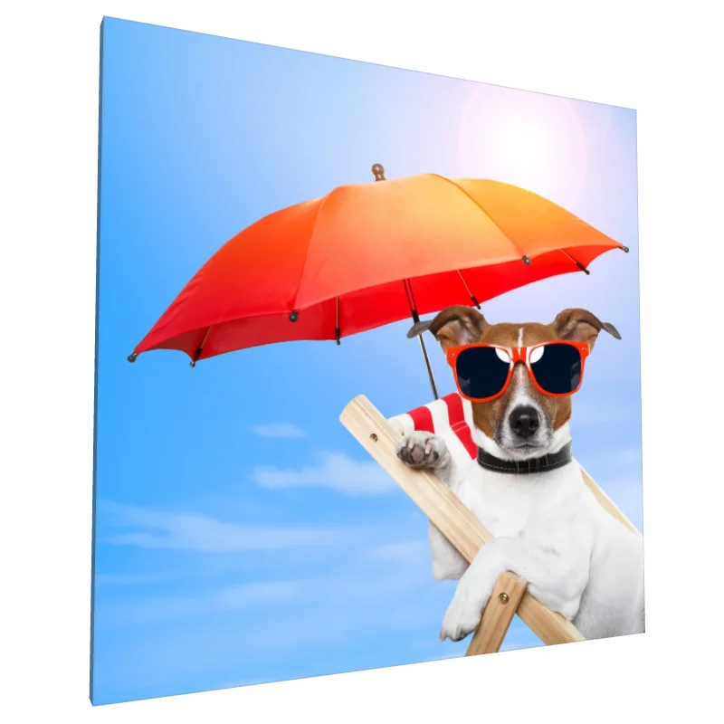 Tablou canvas: Câine Relaxează la Plajă cu Ochelari - Image 1