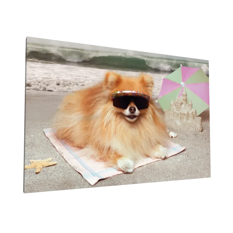 Tablou canvas: Cățel Relaxat pe Plajă cu Ochelari de Soare